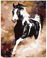 Картина по номерам Скачущий конь 40 x 50 | KTMK-50349 | SLAVINA