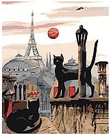Картина по номерам Котики на крыше в Париже 40 x 50 | RO103 | SLAVINA
