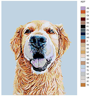 Картина по номерам Собака 40 x 50 | A237 | SLAVINA, фото 2