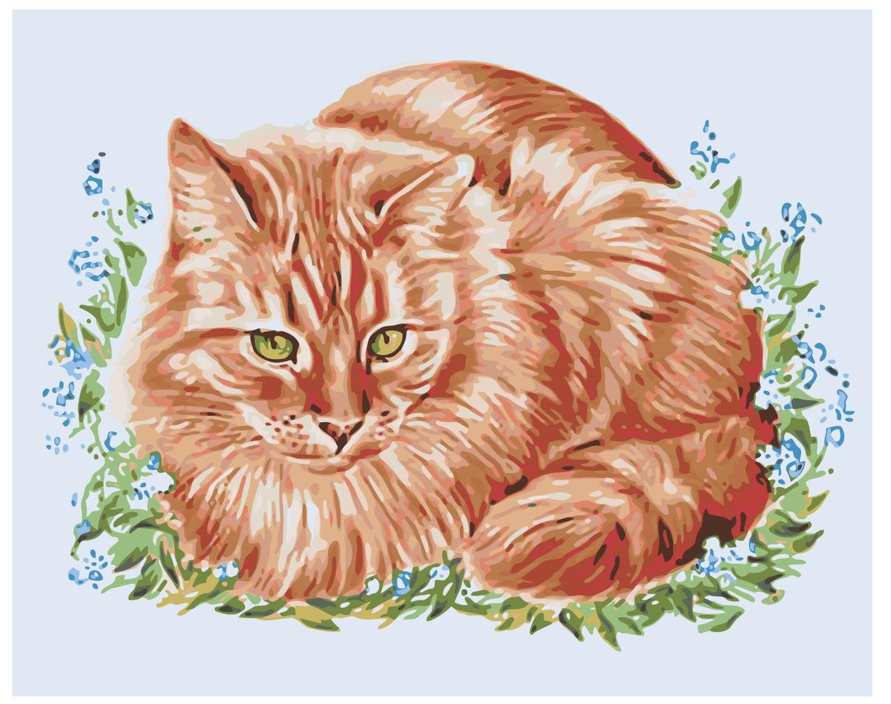 Картина по номерам Рыжий кот 40 x 50 | A123 | SLAVINA