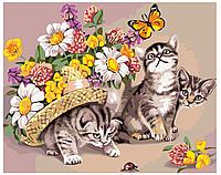 Картина по номерам Котята и цветы 40 x 50 | KTMK-393605 | SLAVINA