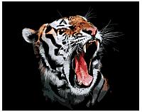 Картина по номерам Рычащий тигр 40 x 50 | A424 | SLAVINA