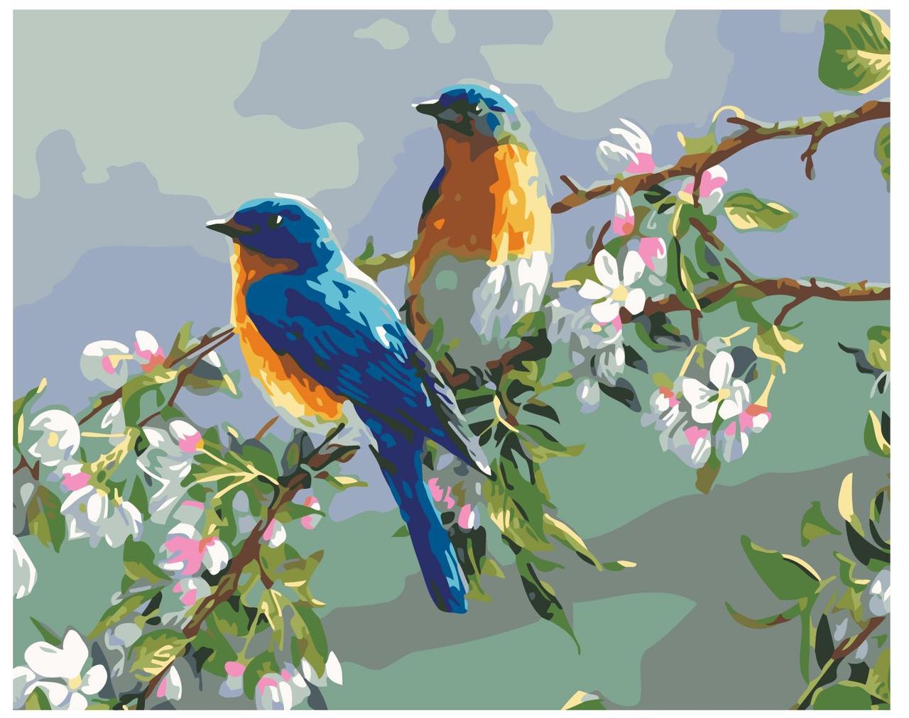 Картина по номерам Птицы на ветке 40 x 50 | KTMK-09352 | SLAVINA