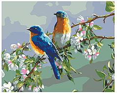 Картина по номерам Птицы на ветке 40 x 50 | KTMK-09352 | SLAVINA