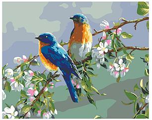 Картина по номерам Птицы на ветке 40 x 50 | KTMK-09352 | SLAVINA, фото 2
