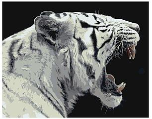 Картина по номерам Рычащий белый тигр 40 x 50 | Z-AB304 | SLAVINA, фото 2