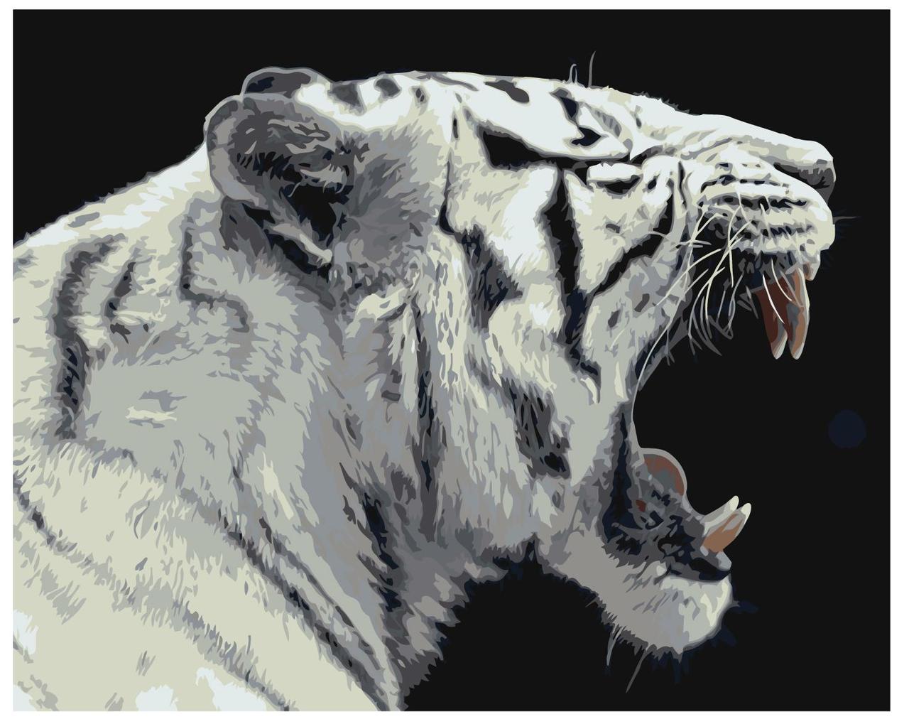 Картина по номерам Рычащий белый тигр 40 x 50 | Z-AB304 | SLAVINA - фото 1 - id-p196790059