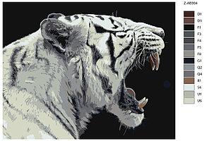 Картина по номерам Рычащий белый тигр 40 x 50 | Z-AB304 | SLAVINA, фото 2