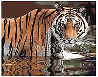 Картина по номерам Тигр в воде 40 x 50 | Z-AB307 | SLAVINA