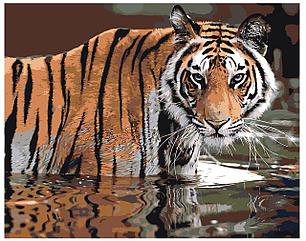 Картина по номерам Тигр в воде 40 x 50 | Z-AB307 | SLAVINA, фото 2