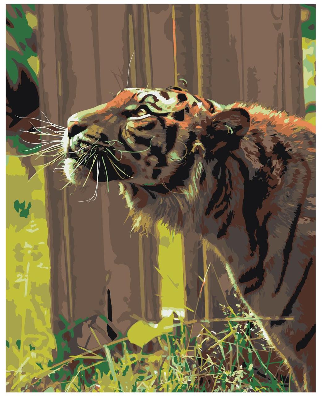 Картина по номерам Любопытный тигр 40 x 50 | Z-AB306 | SLAVINA - фото 1 - id-p196790064