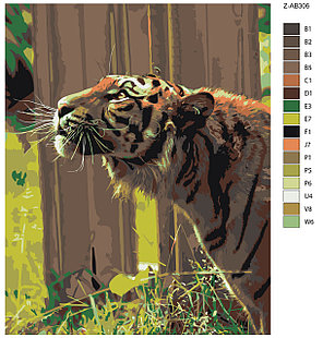 Картина по номерам Любопытный тигр 40 x 50 | Z-AB306 | SLAVINA, фото 2