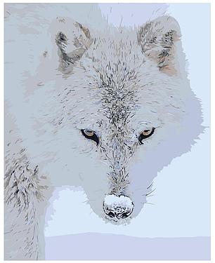Картина по номерам Белый волк 40 x 50 | Z-AB311 | SLAVINA, фото 2
