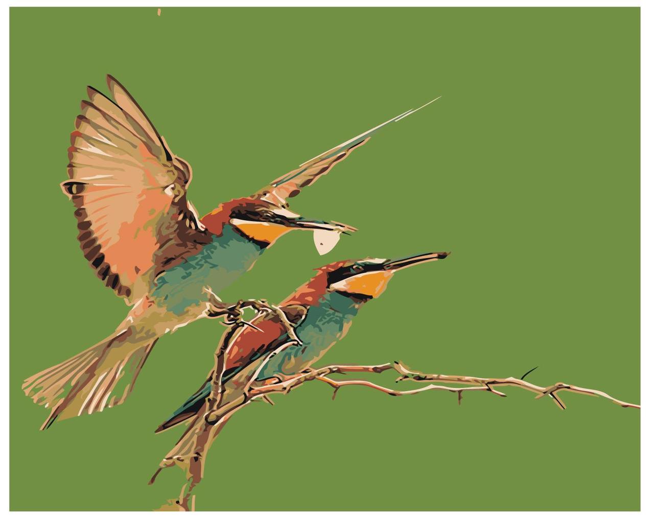 Картина по номерам Экзотические птицы 40 x 50 | Z-AB295 | SLAVINA
