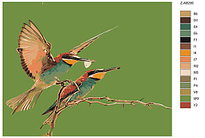 Картина по номерам Экзотические птицы 40 x 50 | Z-AB295 | SLAVINA, фото 2