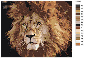 Картина по номерам Лохматый лев 40 x 50 | Z-AB368 | SLAVINA, фото 2