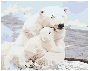 Картина по номерам Белая медведица и ее малыш 40 x 50 | Z-AB373 | SLAVINA, фото 2