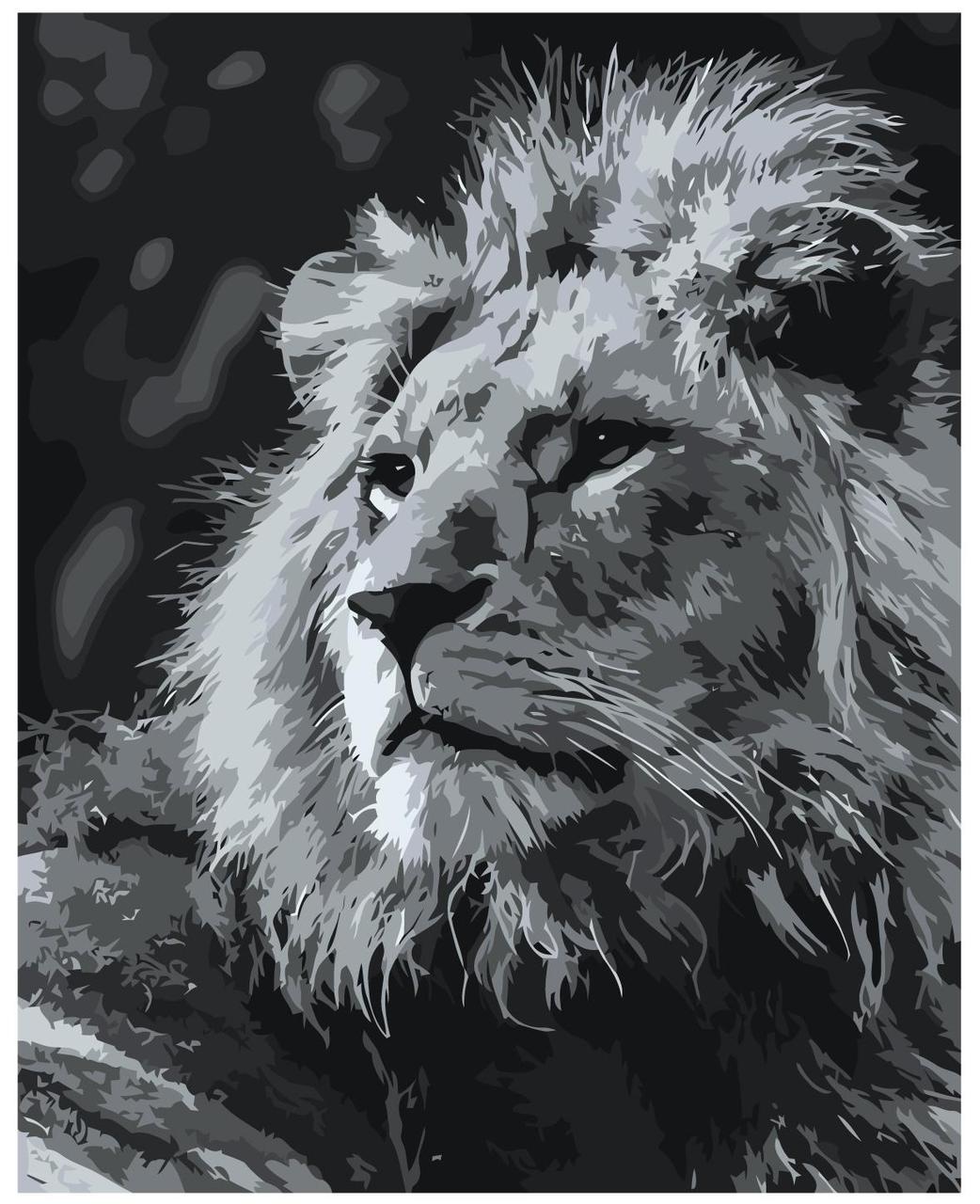 Картина по номерам Черно-белый лев 40 x 50 | Z-MV151 | SLAVINA