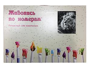 Картина по номерам Черно-белый лев 40 x 50 | Z-MV151 | SLAVINA, фото 2