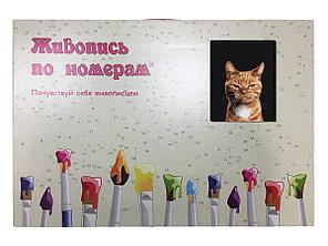 Картина по номерам Недовольный рыжий кот 40 x 50 | Z-NA33 | SLAVINA, фото 2