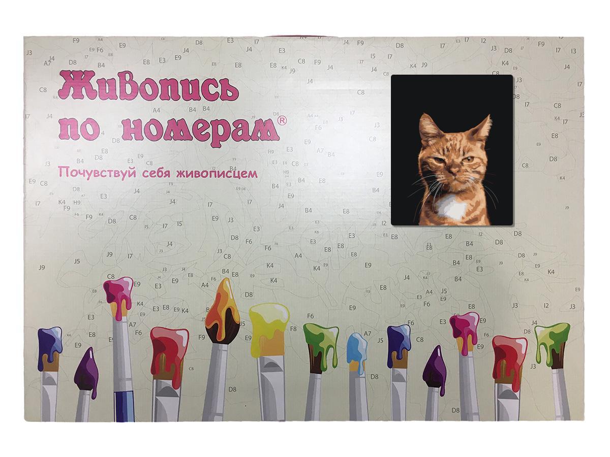 Картина по номерам Недовольный рыжий кот 40 x 50 | Z-NA33 | SLAVINA - фото 3 - id-p196790137