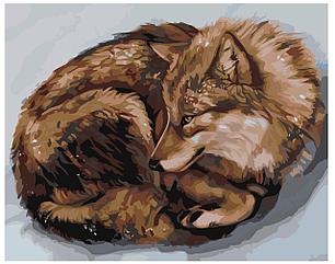 Картина по номерам Спящий волк 40 x 50 | Z-AB15 | SLAVINA, фото 2