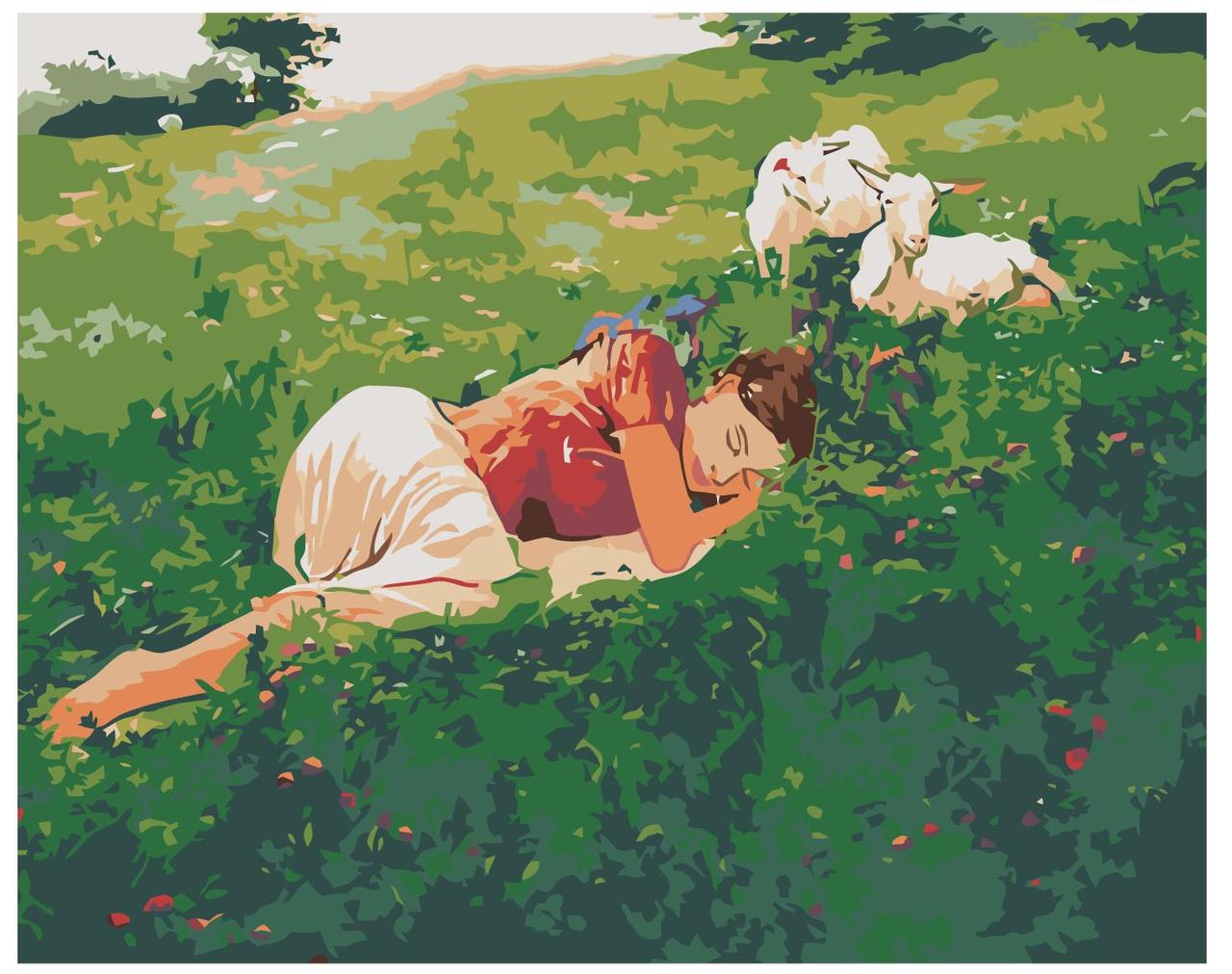 Картина по номерам Спящая в поле девушка 40 x 50 | RA003 | SLAVINA - фото 1 - id-p196790237