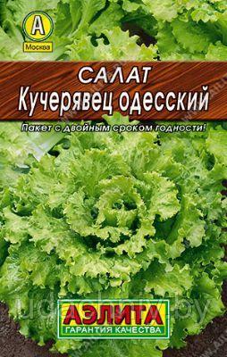 Салат Кучерявец Одесский. 0,5 г. "Аэлита", Россия. - фото 1 - id-p196813807