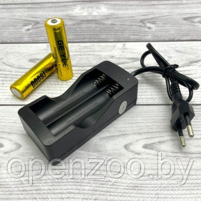 Двойное зарядное устройство ZJ-3309 для литий-ионных аккумуляторов типа 18650/1000mA Упаковка пакет - фото 1 - id-p174899599