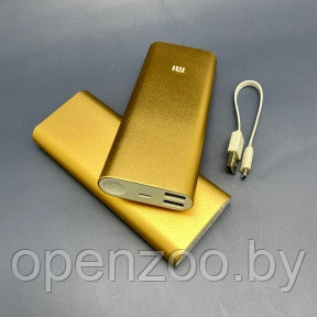 Уценка Портативное зарядное устройство power bank Xiaomi 16000 mAh Золото - фото 1 - id-p170654039