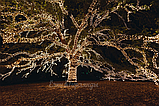 Светодиодная гирлянда "Клип-лайт" для деревьев, фото 4