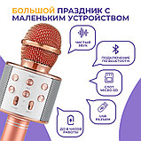 Караоке-микрофон с подсветкой и функцией изменения голоса WS-858, фото 2