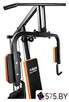 Силовая станция Alpin Top Gym GX-180, фото 2