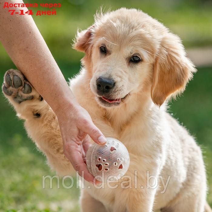 Игрушка для собак "Мяч баскетбол-лапки 2 в 1", TPR+винил, 7,5 см, прозрачная/коричневая - фото 7 - id-p196845774