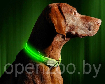 Светящийся ошейник для собак (3 режима) Glowing Dog Collar Зеленый М (MAX 45 sm)