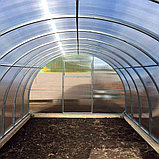 Теплица из поликарбоната "Урожайная" 6x3x2 (Комплект: каркас + ПОЛИКАРБОНАТ), фото 4