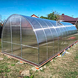 Теплица из поликарбоната "Урожайная" 10x3x2 (Комплект: каркас + ПОЛИКАРБОНАТ), фото 2