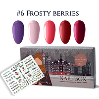 Набор Nail Box KIEMI WINTER №6 “FROSTY BERRIES”