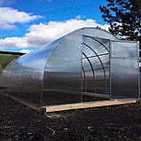 Теплица из поликарбоната "Урожайная" 10x3x2 (Комплект: каркас + ПОЛИКАРБОНАТ), фото 7