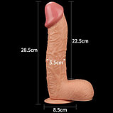 Фаллоимитатор реалистичный с присоской Legendary king-sized Realistic Dildo 29 см, фото 3