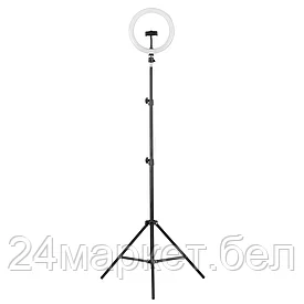 KD-810F C02 LED(свет-к кольцев. 10 Вт, подставка для смартфона, напольн.на штативе) CAMELION