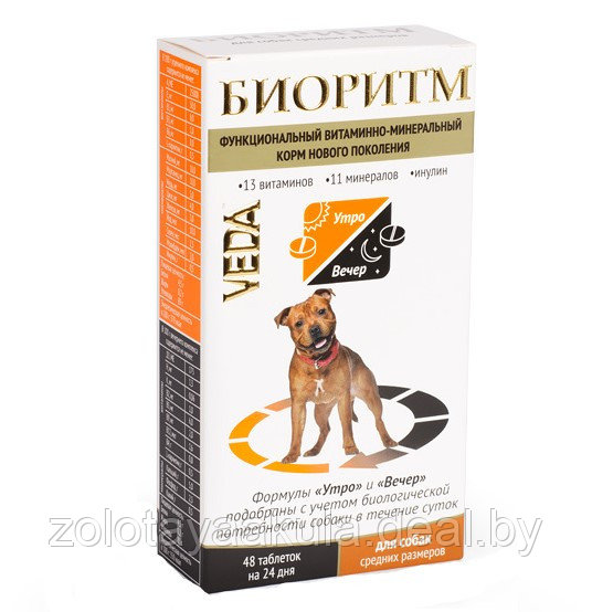 Биоритм для собак средних пород, 48таб, дополнительный витаминно-минеральный корм - фото 1 - id-p196986466