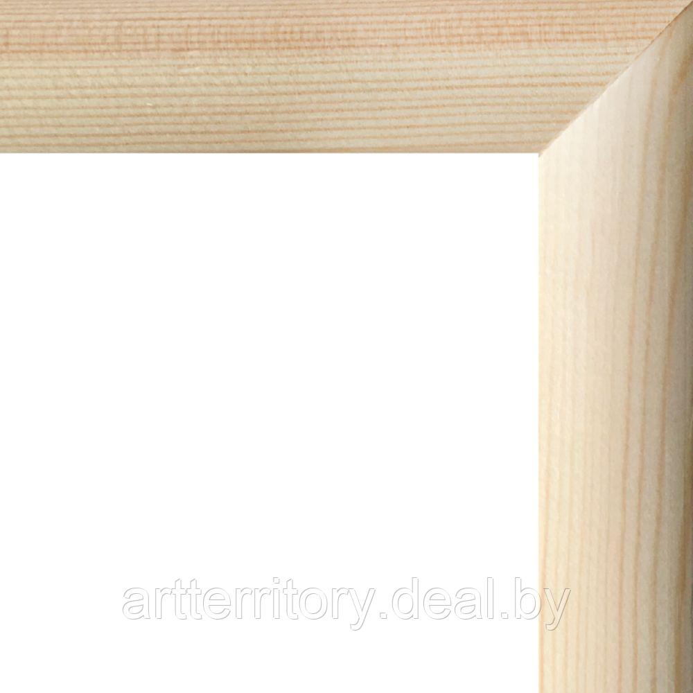 Рамка деревянная для холста 18х24 Д2534 - фото 4 - id-p197008213