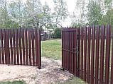Забор из Металлоштакетника, фото 4