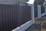 Забор из Металлоштакетника, фото 7