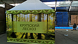 Торговая палатка купить в Минске, фото 2