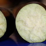 Баклажан Тузан (бессемянный) F1, семена, 5 шт., Minami Seeds, (чп), фото 2