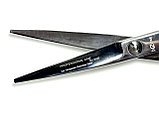 Ножницы парикмахерские для стрижки волос Solingen Mertz №5.5 341/5.5, фото 3