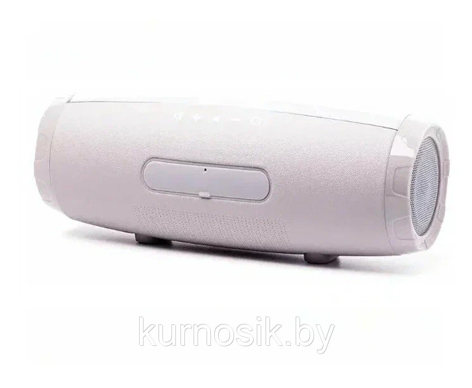 Беспроводная портативная Bluetooth колонка T&G TG-165С с подсветкой, 2 динамика, FM радио, micro SD Серый - фото 3 - id-p197173940