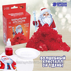Набор для творчества «Лучистые кристаллы»: Дед Мороз, цвет красный